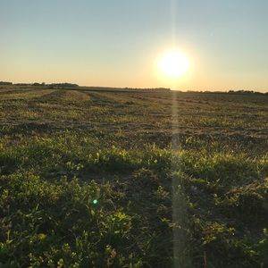 Meet your Posher, Haely